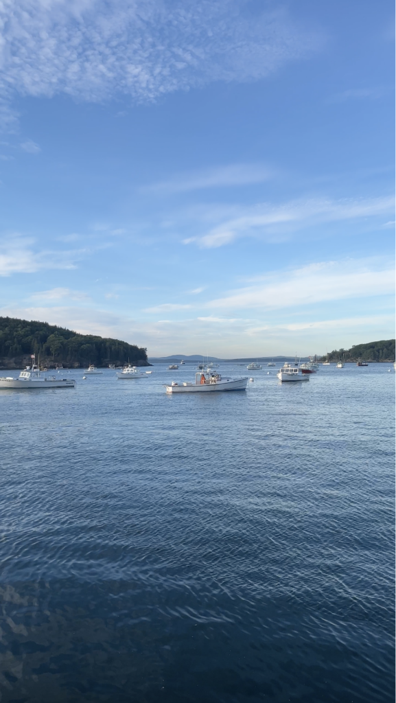 Bar Harbor ocean views with boats Maine