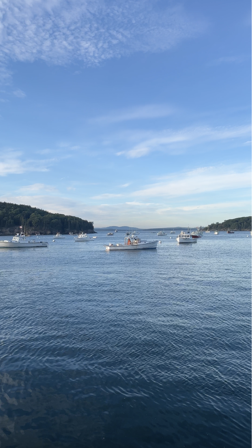 Bar harbor ocean views boats solo trip to Maine