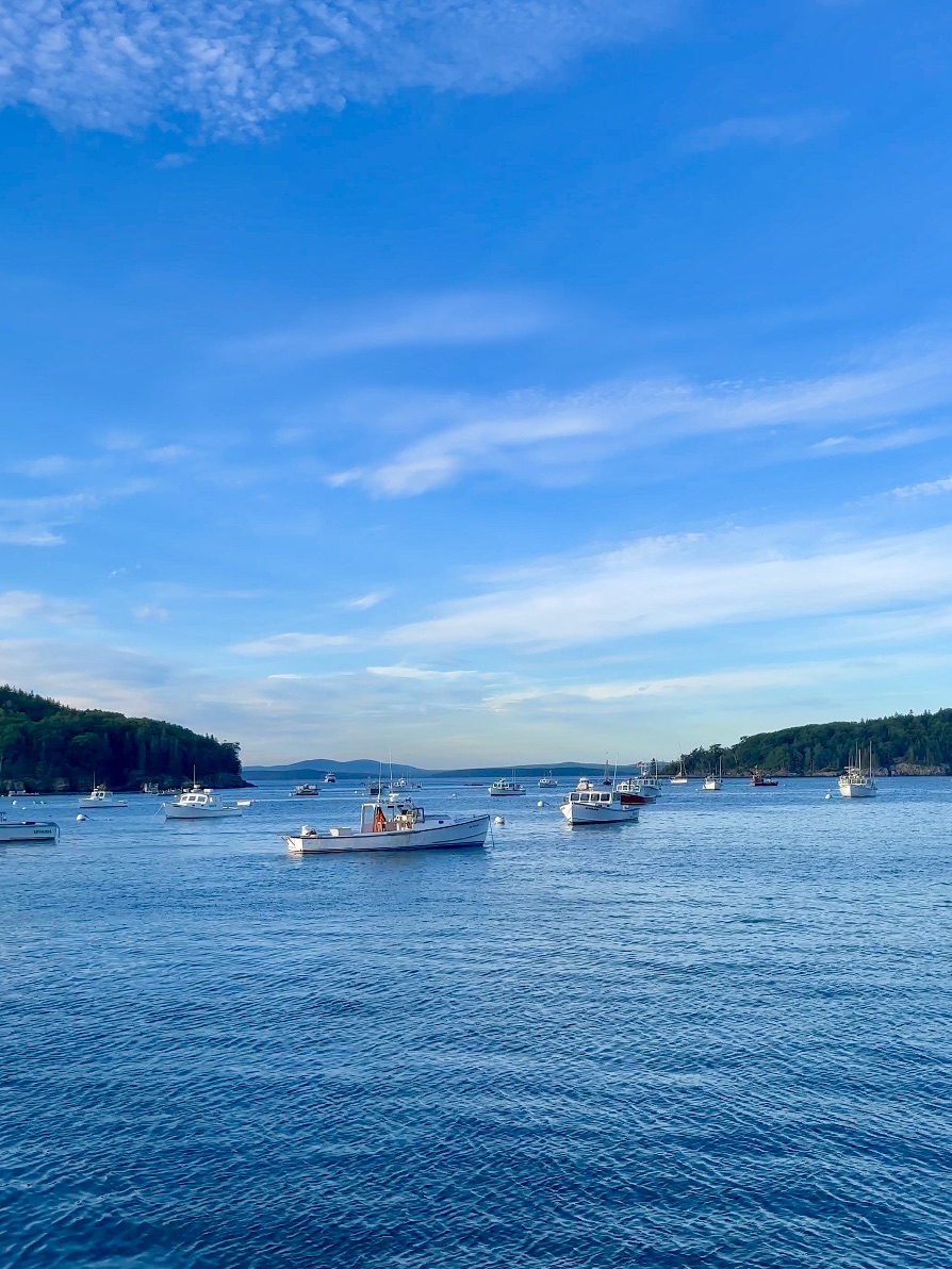 sailboats on Frenchman Bay Bar Harbor Maine first time