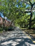 Street view of downtown Savannah Georgia solo day trip