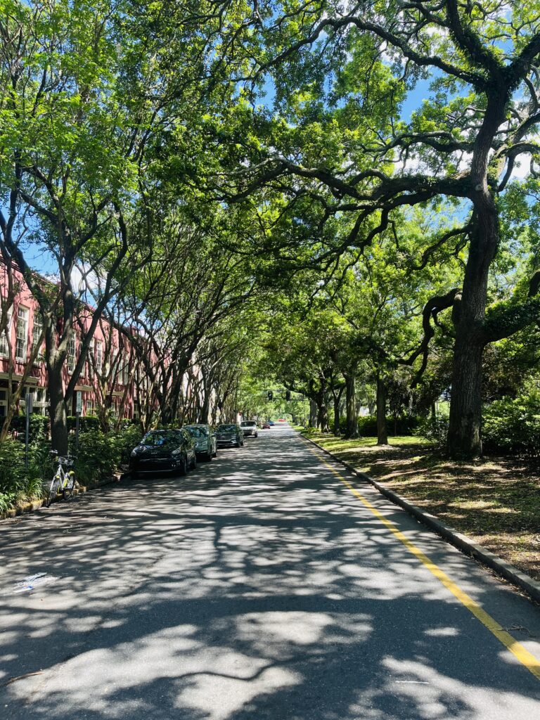 Street view of downtown Savannah Georgia solo day trip