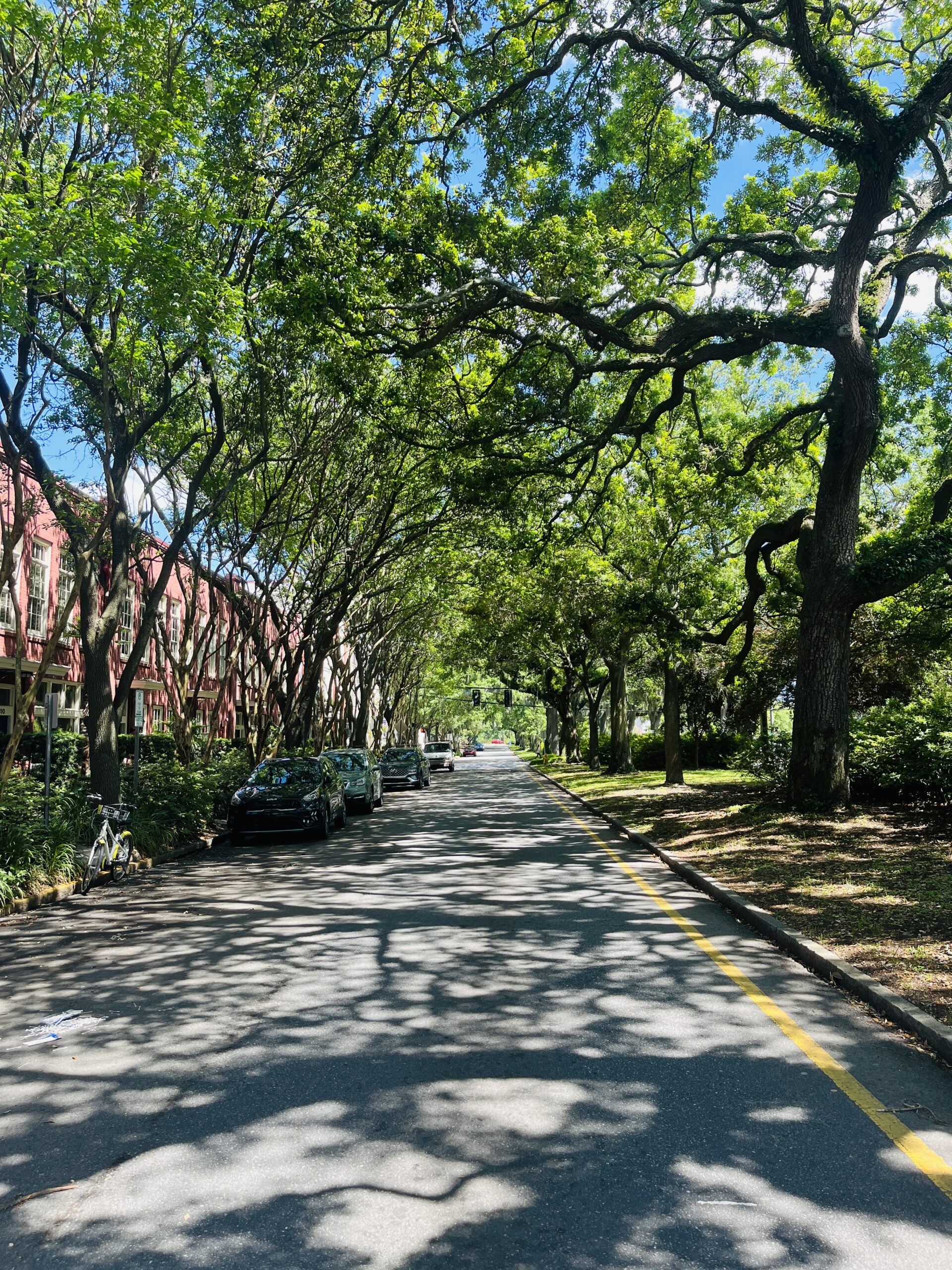 Street view of downtown Savannah Georgia solo day trip